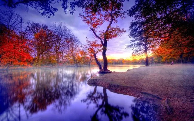 Imagenes de Paisajes: tranquilos