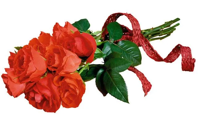Wallpapers HD: Rosas Wallpapers Varias resoluciones (127)