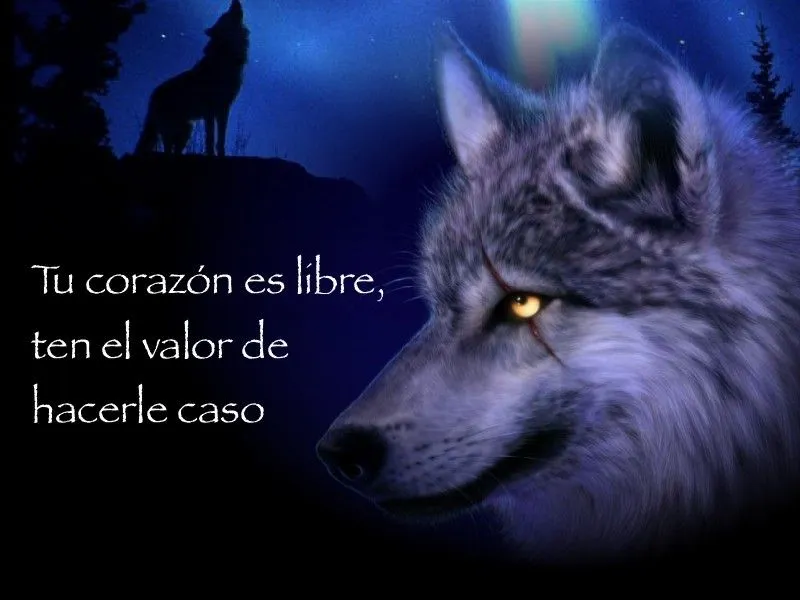 wallpapers lobos