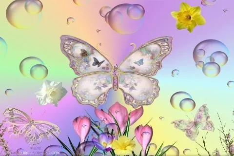 Fondo de pantalla mariposas gratis - Imagui