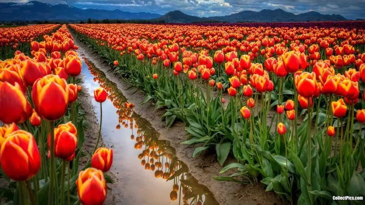 Wallpapers Paisajes Naturales Hermosos Del Peru Fotografias Y ... Wallpapers Paisajes Naturales Hermosos Del Peru Fotografias Y ...