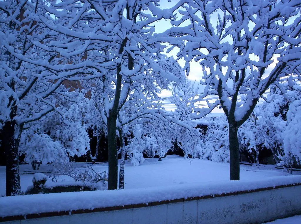 Wallpapers de paisajes con nieve - Taringa! Wallpapers de paisajes con nieve - Taringa!