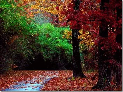 6 Wallpapers de Paisajes Otoñales | Banco de Imagenes Gratuitas 6 Wallpapers de Paisajes Otoñales | Banco de Imagenes Gratuitas