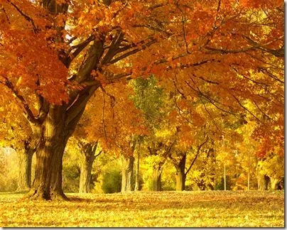 6 Wallpapers de Paisajes Otoñales | Banco de Imagenes Gratuitas 6 Wallpapers de Paisajes Otoñales | Banco de Imagenes Gratuitas