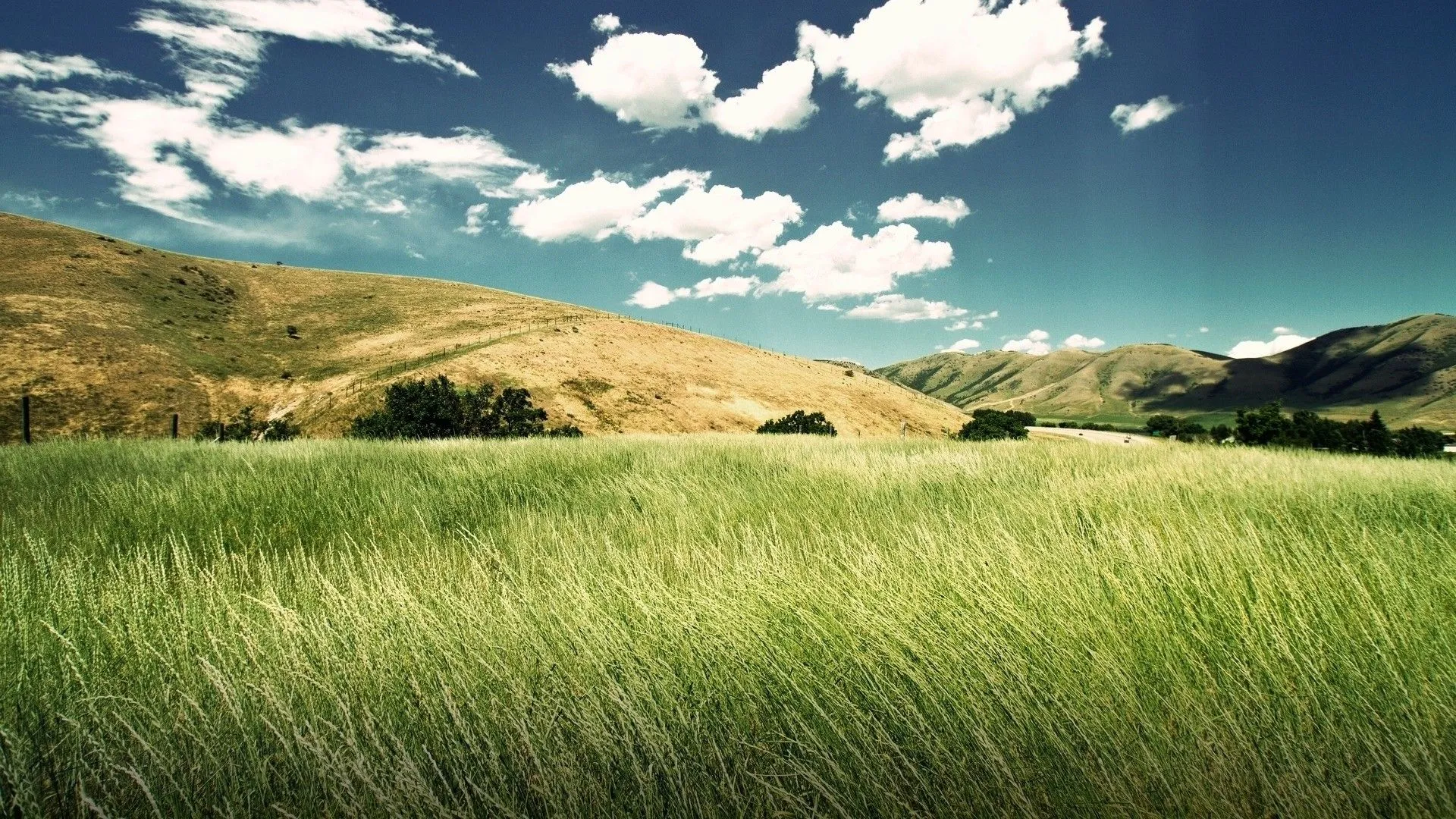WallPapers de Paisajes Verdes | Proyectos Beta WallPapers de Paisajes Verdes | Proyectos Beta