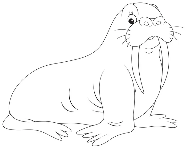 Walrus — Vector stock © AlexBannykh #40616013 Walrus — Vector stock © AlexBannykh #40616013
