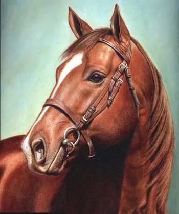Walter Fornero. Obra: Caballo Criollo