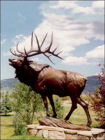 wapiti - Use Grid wapiti - Use Grid