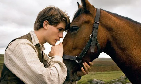 War horse | CinemaNet