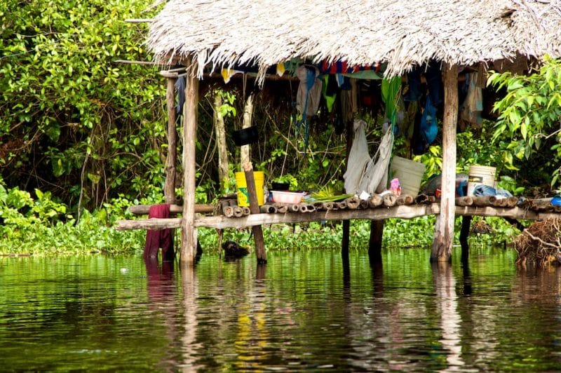 Waraos: Ubicación, lengua, vestimenta y vivienda - Pueblos Indigenas