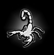 Web del Escorpion - Conquistadores de la Tierra Web del Escorpion - Conquistadores de la Tierra