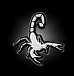 Web del Escorpion - Datos Interesantes