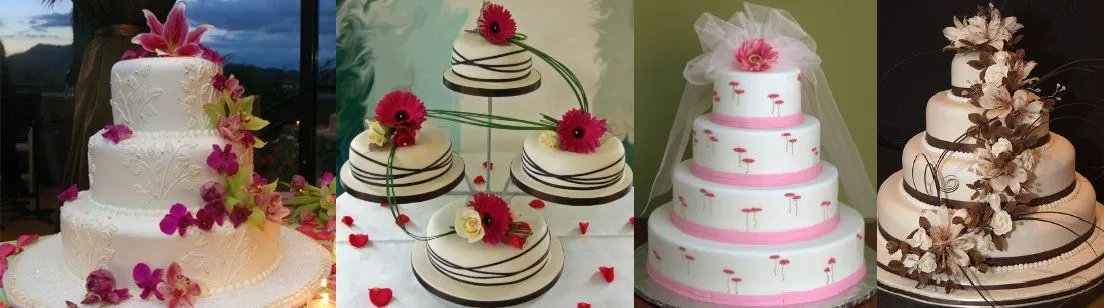 Wedding Planner Chile: TORTAS Y NOVIOS ORIGINALES!