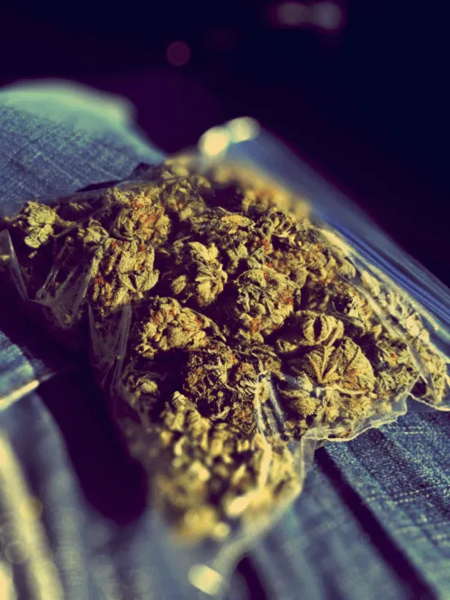weed ganja bong pot mary jane 420 stoner stoned bored pipe pipes ...