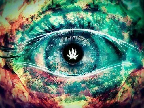 weed quotes | Tumblr | Yes, I smoke weed ت | Pinterest | Weed ... weed quotes | Tumblr | Yes, I smoke weed ت | Pinterest | Weed ...