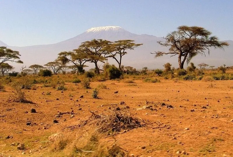 Savana africa - Imagui