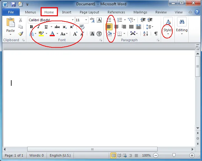 Where is the Format menu in Microsoft Word 2007, 2010 and 2013