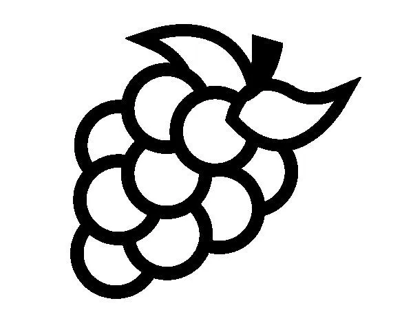 White table grapes coloring page - Coloringcrew.com White table grapes coloring page - Coloringcrew.com