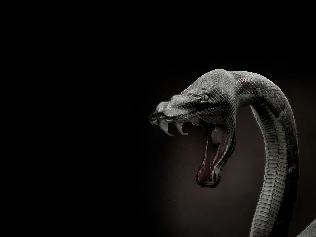 Widescreen Snake HD Wallpapers | All the Latest and Exclusive HD ...