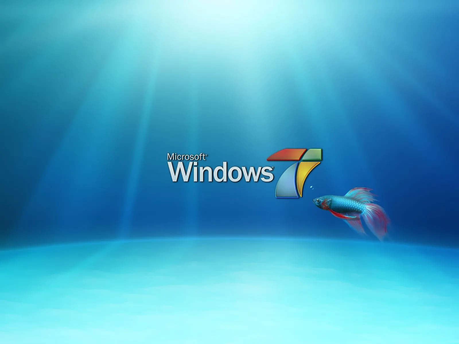 window 7 HD Wallpaper: HD Wallpapers of Windows 7 2