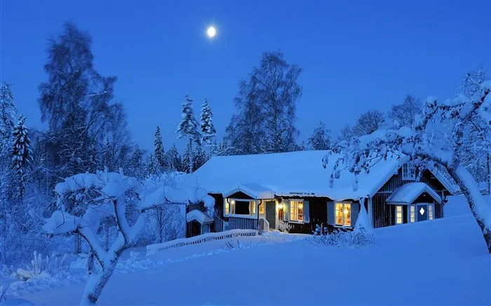 Windows 8 Theme HD Wallpapers: Nieve del invierno noche #13 ...