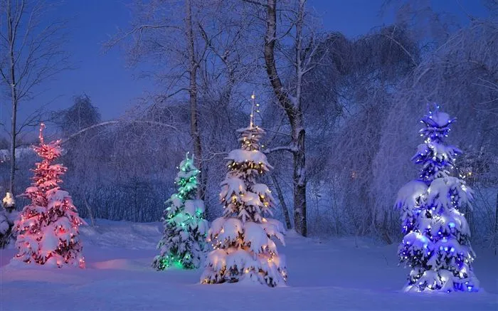 Windows 8 Theme HD Wallpapers: Nieve del invierno noche #8 - Fondo ... Windows 8 Theme HD Wallpapers: Nieve del invierno noche #8 - Fondo ...