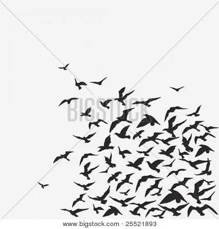Winging vectores, fotos e ilustraciones en stock | Bigstock