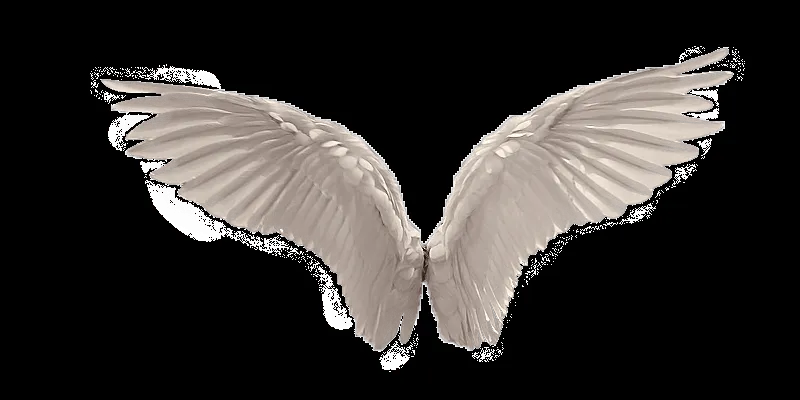 Wings — Crafthubs