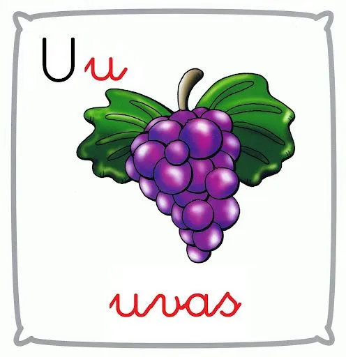 Cosa con letra u - Imagui