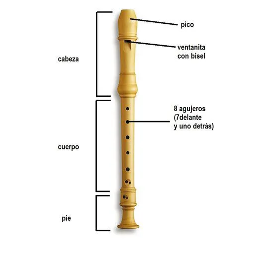 Wix.com instrumentosviento created by anaesparcita based on modern ...