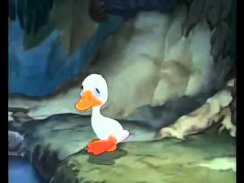 WN - 33linea WN - 33linea