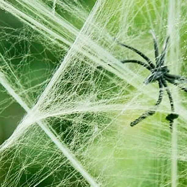 Worallymy Halloween tela de araña elástica Horror DIY telaraña Prop para Halloween decoración de esc Worallymy JD735805455 | Bodega Aurrera en línea Worallymy Halloween tela de araña elástica Horror DIY telaraña Prop para Halloween decoración de esc Worallymy JD735805455 | Bodega Aurrera en línea