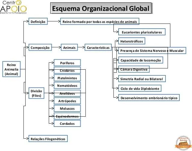 www.EquarparaEnsinoMedio.com.br - Biologia - Características Gerais … www.EquarparaEnsinoMedio.com.br - Biologia - Características Gerais …