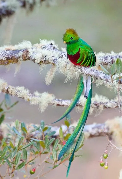 www.fotofrontera.com- ...