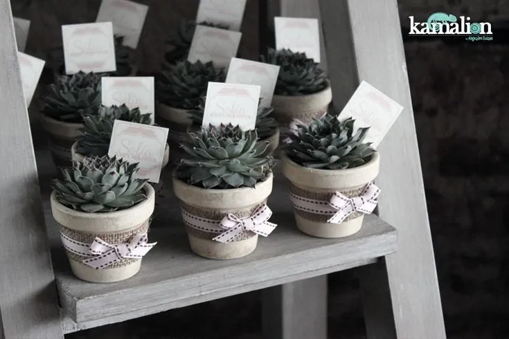 www.kamalion.com.mx - Baby Shower / Rosa & Gris / Pink & Gray ... www.kamalion.com.mx - Baby Shower / Rosa & Gris / Pink & Gray ...
