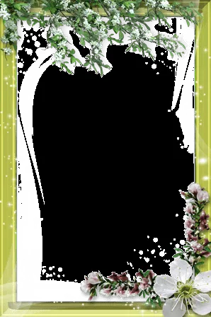 www.loonapix.com