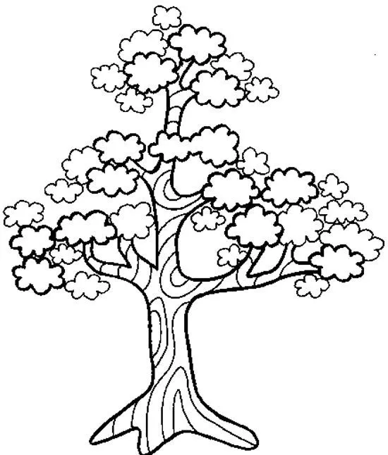 www.maestragemma.com alberi_con_chioma.htm | Dibujos de arte simples, Dibujo  de arbol, Dibujos