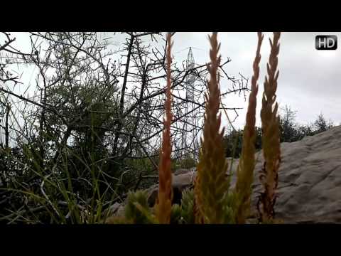 www.mainealz.org » Blog Archive » Barcelona Landscapes 2 HD ...