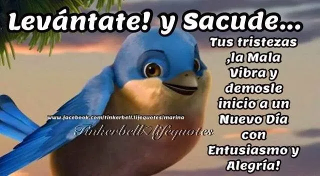 Www.Tinkerbellfrasespositivas.com - Imagui