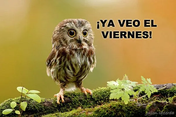 Ya-veo-el-viernes.jpg