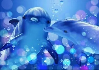 Cuadros de delfines - Imagui
