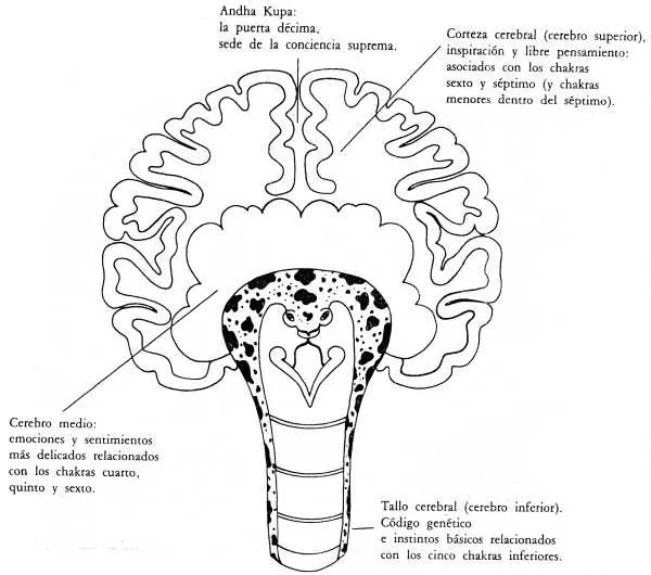 Que son los Yantras y como visualizar los Chakras - MagiaInterior. Que son los Yantras y como visualizar los Chakras - MagiaInterior.