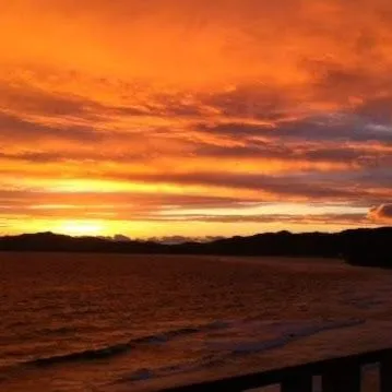 Yayoi Bonilla - Google+
