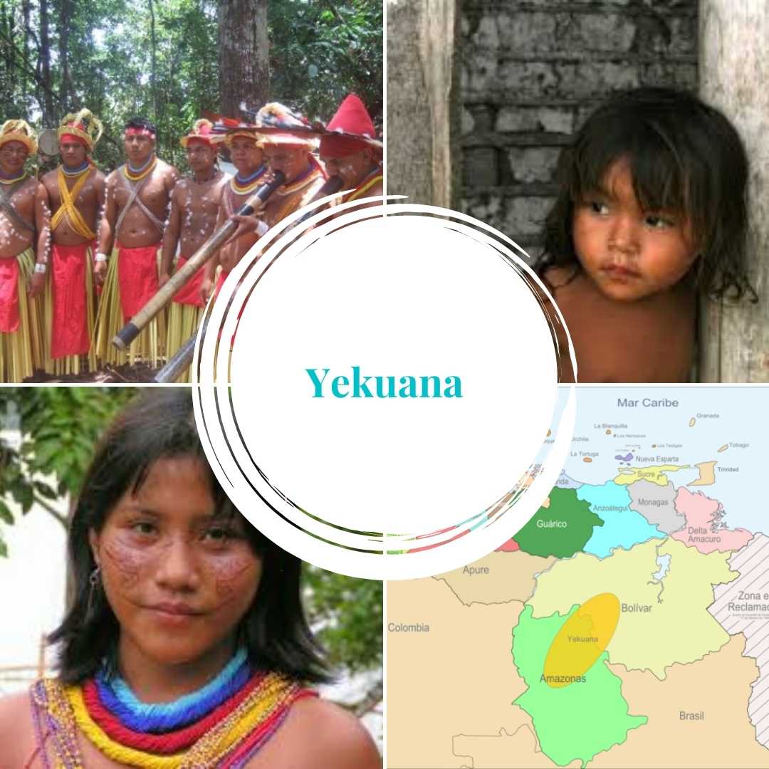 Yekuana | Vestimenta, lengua, ubicación y gastronomía