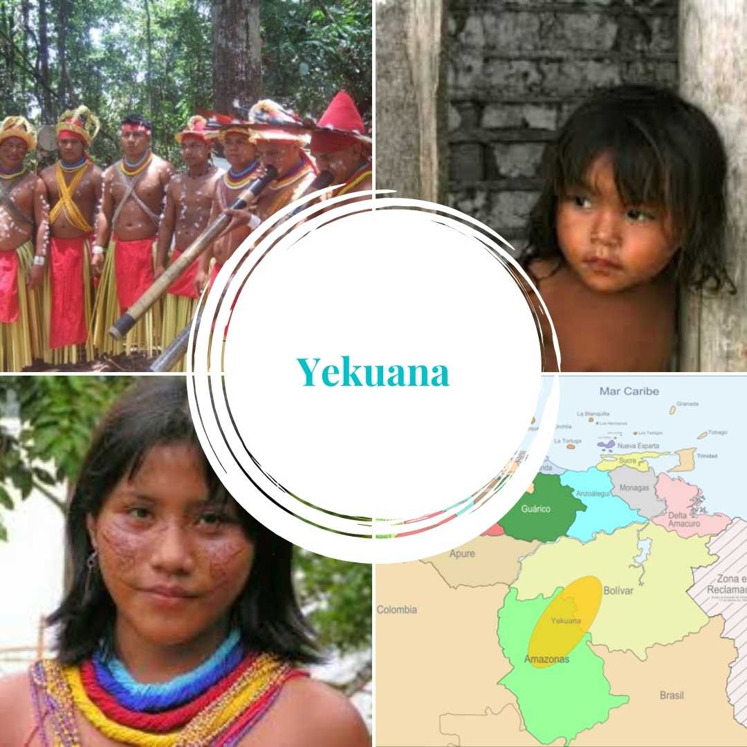 Yekuana | Vestimenta, lengua, ubicación y gastronomía Yekuana | Vestimenta, lengua, ubicación y gastronomía