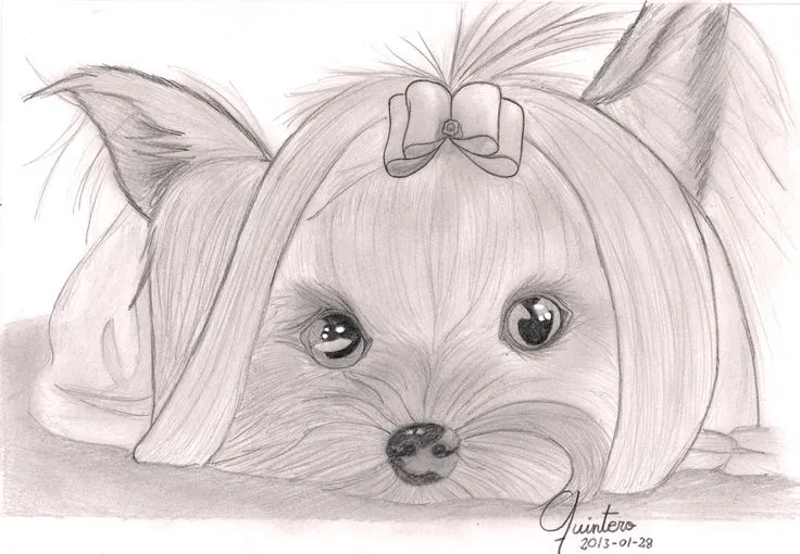 YORKIS O YORKSHIRE TERRIER IMÁGENES Y COMPOSICIONES DE PARA ... YORKIS O YORKSHIRE TERRIER IMÁGENES Y COMPOSICIONES DE PARA ...