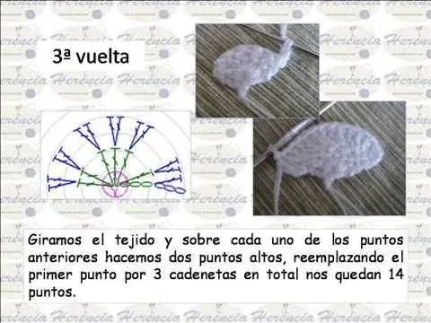 zapatito tenis tejido tipo converse para bebe dda zapatos mxn ... zapatito tenis tejido tipo converse para bebe dda zapatos mxn ...