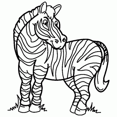  ... Cebras. Dibujo para colorear de Cebras. Dibujos infantiles de Cebras