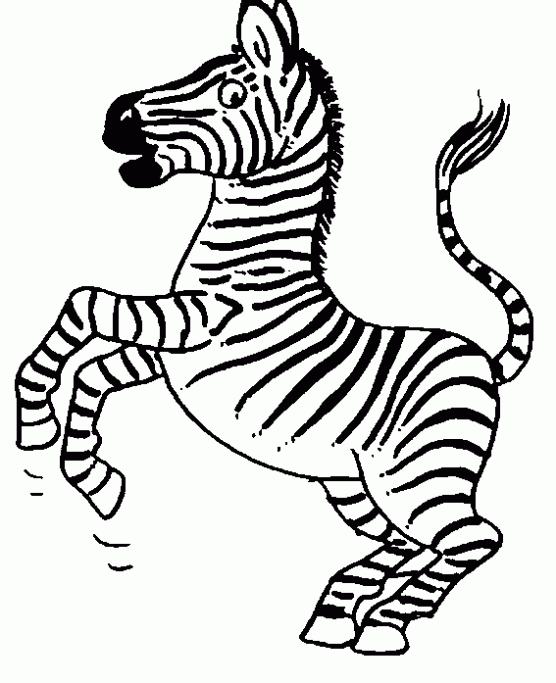 Zebra en caricatura para imprimir - Imagui