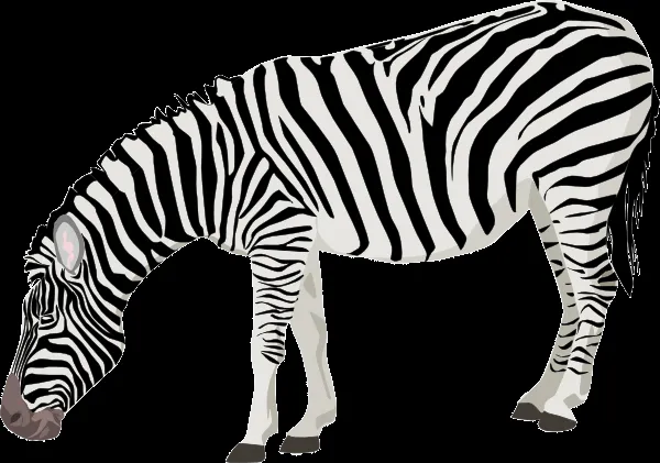 Zebra Clip Art at Clker.com - vector clip art online, royalty free ...